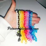 Cadena pequeña gruesa petauro del azúcar