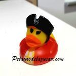 Patito de Goma Pirata #1 petauro del azúcar