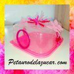 Glider Kitchen Tamaño L Rosa y Rojo Petauro del Azúcar