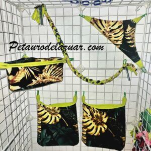 Set Selva (6 piezas) Petauro del Azúcar