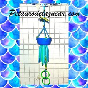 Juguete Cuenco M Azul Verde Petauro Del Azúcar